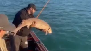 😮 BIGGEST FISH OF MY LIFE and its a MONSTER sturgeonfishing stclairriver fishing rivermonsters [upl. by Gordy]