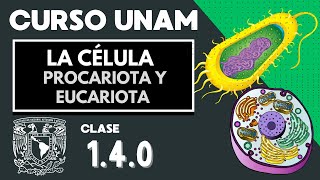 🌱 Célula EUCARIOTA y PROCARIOTA  Diferencias  Examen UNAM  Organelos celulares  Biología [upl. by Ycrad]