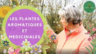 Les PLANTES AROMATIQUES et MEDICINALES pour votre jardin [upl. by Parent]