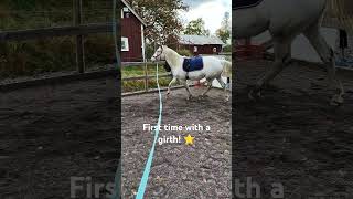 Mist the superstar knabstrupper horse horsetraining [upl. by Tharp]