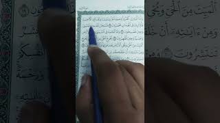 Quran Surat رومayat 1618trending recitation quran surah viralshorts2024 shortsytshorts [upl. by Oidgime993]