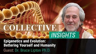 Epigenetics and Evolution Bettering Yourself and Humanity with Dr Bruce H Lipton [upl. by Sanyu]