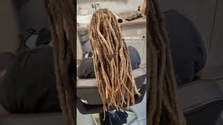 dreadlock dreadlocks dreads [upl. by Nner]