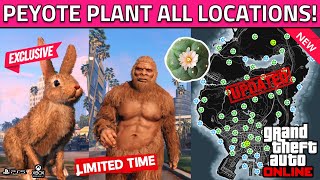 NEW Peyote Plant Locations in GTA 5 Online How To Turn Into AnimalBigfoot All Peyote Plant 2023 [upl. by Oneida164]