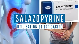 SALAZOPYRINE  Sulfasalazine  500 mg [upl. by Ateiram809]