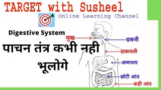 Digestive system in Human पाचन तंत्र Science  TARGET with Susheel [upl. by Aehtorod]