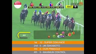 20231104  Race 9 Singapore Kranji Horse Racing Highlights  Pace88 Horse [upl. by Barbur]