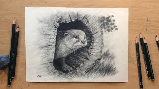 Graphite Pencil Drawing of an Otter  Graphite on Sanded Paper [upl. by Leuas570]