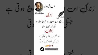 quotIqbal dayquot اقبال quot❤️❤️❤️ zulqarnainvlogsh6j [upl. by Sokram]