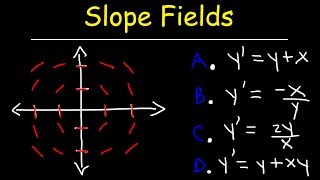 Slope Fields  Calculus [upl. by Etoile829]