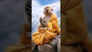 Bajrangbali Ki Sena Ayi Prasad Khane ll Jai Mahabali Hanuman ll shortsfeed hanuman [upl. by Adnorat674]