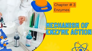 Mechanism of Enzyme Action Chapter 3 Enzymes  Education for all [upl. by Armbruster]