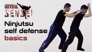 Ninjutsu self defense basics  Joseph Arlettaz  Global Combat Reaction [upl. by Kenleigh558]