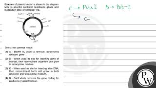 Structure of plasmid vector is shown in the diagram with its specific antibiotic resistance gene [upl. by Veronike353]