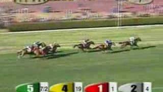 Horse racing oddity maintenance crew nearly trampled [upl. by Pauiie]