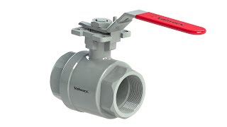 Valworx Stainless Steel Ball Valves [upl. by Ailsun747]