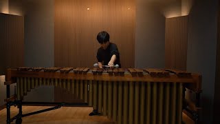 Velocities for solo Marimba by Joseph Schwantner [upl. by Bosch]