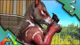 CHALICOTHERIUM TAMING BREEDING  IMPRINTING  Ark Survival Evolved S3E70 [upl. by Tur]