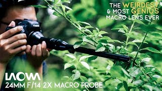 Revolutionize Macro Videography Laowa 24mm f14 Probe Lens [upl. by Fabri]