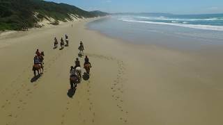 Cintsa Horses Beach Trails [upl. by Ihcalam]