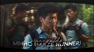 minho maze runner scenepack  logoless  4k [upl. by Ahsauqram]