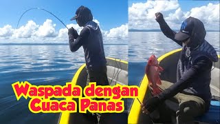 Si Kakap Merah yang Bohay Bohay‼️ cuaca panas kehabisan air minum [upl. by Olen]