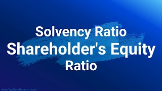 Shareholders’ Equity Ratio Hindi  Financial Ratio Analysis [upl. by Mae]