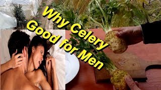 Why Celery Good for Men Benefits of Celery for Male [upl. by Busby]