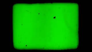 8mm green screen background [upl. by Nylyram]