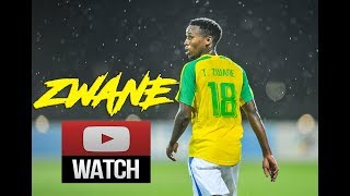 Themba Zwane quotMshishiquot 2017  Skills amp Goals  HD Mamelodi Sundowns [upl. by Koffler6]