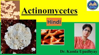 Actinomycetes Actinomycosis Microbiology pathogen symptoms diagnosis Actinobacteria Streptom [upl. by Milone]