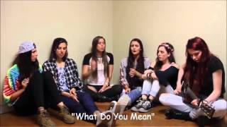 Cimorelli  Harmonies 2015 HD [upl. by Julietta308]