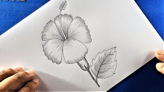 Joba Ful Drawing with Voice Tutorial [upl. by Stock]