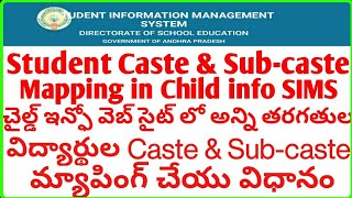 Student Caste and Sub caste mapping in Child info CSE  How to enter Students Catesubcaste details [upl. by Llemar511]