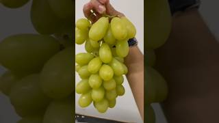 Great Harvest  XL Grapes [upl. by Mohl]