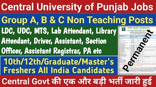 Central University of Punjab Non Teaching Staff Recruitment 2024  Permanent Group A B amp C Posts [upl. by Soisanahta]