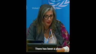 Palestinians risk being erased from northern Gaza says UN Special Rapporteur [upl. by Siroved193]