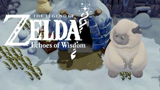 Helping Condé The Legend Of Zelda Echoes Of Wisdom [upl. by Leeann]