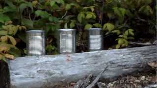 Mossberg 715T Tactical 22 Takes Out 3 Soup Cans in One Shot [upl. by Ran]