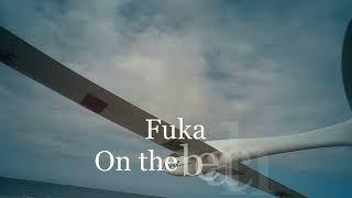 fuka Beach soaring [upl. by Mcconnell]