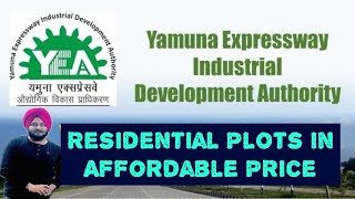 Noida Authority Plots In Affordable Price  सबसे सस्ते Plots plots delhi dda realestate yeida [upl. by Towrey530]