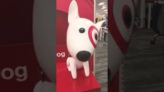 Target dog youtubeshorts target dog [upl. by Josephine]