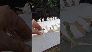 New Tiniest Bird Farm Amazing Birds Have Their Own Miniature Farm Safocreator [upl. by Oribelle55]