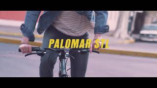 Palomar Acero GT Bicycles [upl. by Cleodell]