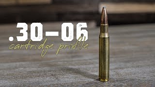 3006 Springfield Cartridge Profile 10 Pros and Cons [upl. by Smiga]