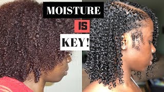 TIPS 2 ACHIEVE MOISTURIZED NATURAL HAIR  Lets Talk About Sum REAL Moisture  Healthy Journey Series [upl. by Bil]