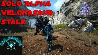 Solo Mission Velonasaur Stalk  Ark Genesis Part 2 [upl. by Lovmilla399]