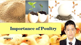 POULTRY 1  Importance of Poultry amp Poultry Products Part 1  Module 2 [upl. by Parrish]