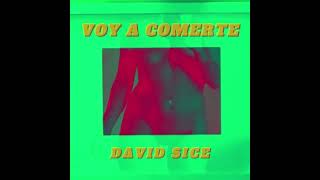 DAVID SICE  VOY A COMERTE [upl. by Ina]