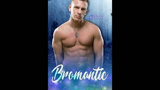 Bromance to Romance  MM Romance Audiobook mmromance wtr [upl. by Bekelja]